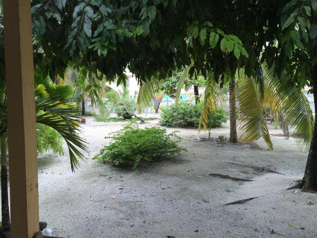 Jaguar Morning Star Hotel Caye Corker Quarto foto